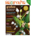 หมอชาวบ้าน ฉบับ 550 เดือนกุมภาพันธ์ 68